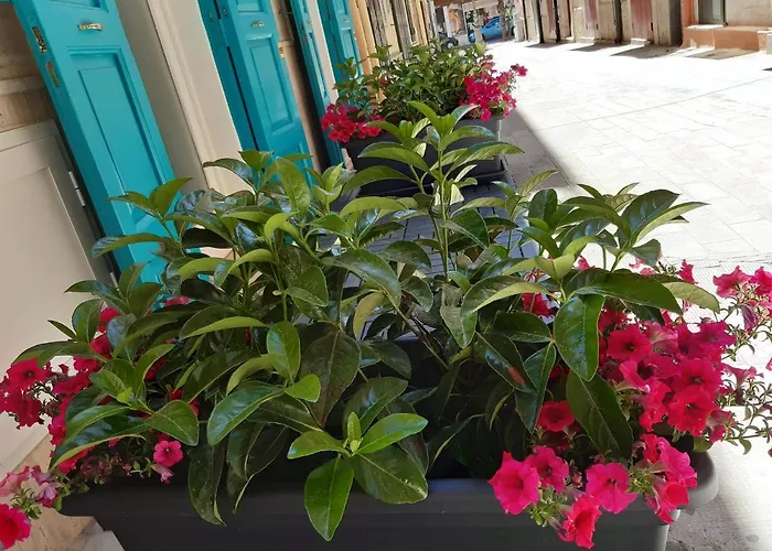 Canzone Del Sole 住宿加早餐酒店